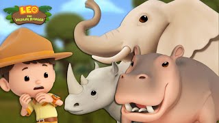 GIANT ANIMALS 🐘🦏 Elephants Hippopotamus and MORE 🎊  Leo the Wildlife Ranger  Kids Cartoons [upl. by Zetnwahs]