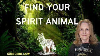 Understanding Spirit Animals What They Mean and How to Find Yours [upl. by Aicaca]