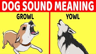 10 Dog Sounds And What They Mean [upl. by Akiras398]