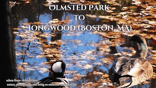 Omsted to Longwood Info in subtitles [upl. by Ettener]