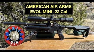 American Air Arms EVOL Mini 22 Cal Field Review [upl. by Eelyah]