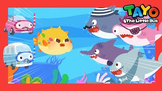 NEW Chubby Wubby Puffer fish l Fish Song l Shark Song l Tayo the Little Bus [upl. by Eidlog]