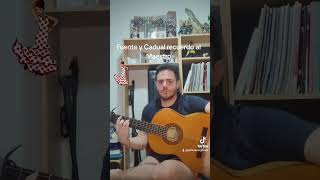 Final quotFuente y Caudalquot del maestro Paco de Lucia [upl. by Haroppiz]