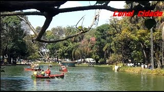 PARQUE MUNICIPAL DE BELO HORIZONTE [upl. by Pauwles]