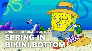 SpongeBob SquarePants  Spring In Bikini Bottom S3 E2  Paramount [upl. by Eylrahc]