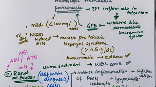 Part 2  Diagnosis n treatment of acute interstitial nephritis  MEDICINE with DR SHAMAMA [upl. by Levine478]