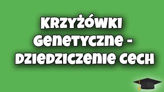 Krzyżówki Genetyczne  Dziedziczenie Cech  Biologia klasa 8 [upl. by Arocet]