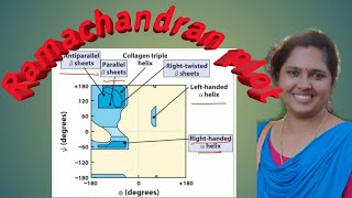 Ramachandran plot [upl. by Kobe]