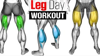 Full LEG Muscle Transformation 8 Best Exercises [upl. by Cochrane]