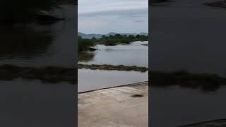 Dareswar river  sukhdi Nadi from dhareshwar dhareshwer rivershortsviralbharatseervi18 ram [upl. by Swagerty]