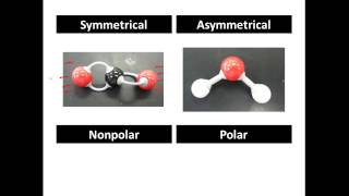 Polar and Non Polar Covalent Molecules Polar vs Nonpolar  CLEAR amp SIMPLE [upl. by Yssim95]