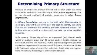 Chapter 5 – Techniques in Protein Biochemistry Part 4 of 5 [upl. by Tommy]