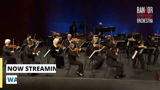 Concert Trailer Pärt amp Tchaikovsky [upl. by Gmur675]