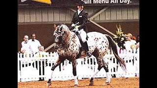 LEGEND APPALOOSA PAY N GO • FINAL PERFORMANCE [upl. by Ralph4]