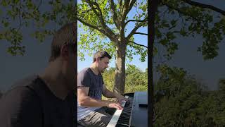 Playing piano under the tree [upl. by Fransisco]