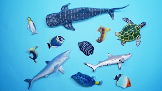 Collect 7 Sea Animals Clown Fish Hammerhead Shark Orca Whale Hermit Crab Goblin Shark Sailfish [upl. by Mccall]