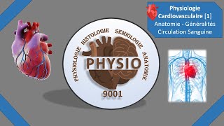 Physiologie Cardiovasculaire 1  Anatomie  Généralités  Circulation Sanguine  Médecine  Cours [upl. by Mendelson]