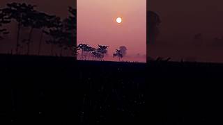 Ya allaho ya rahman‌‌।। ইয়া আল্লাহু ইয়া রহমান।। nature sunset gojol গজল হামনাত youtubeshorts [upl. by Onitsuj162]