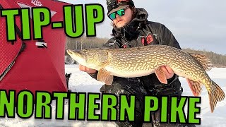 Ice Fishing for Northern Pike  TipUp Fishing [upl. by Legir285]