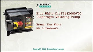 Blue White C11F344X000V00 Diaphragm Metering Pump [upl. by Arakal701]