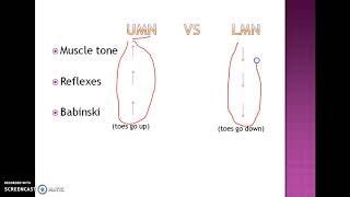 UMN vs LMN lesion made easy [upl. by Blunk]