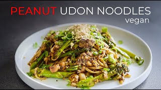 Peanut Noodles Recipe  EASY Sichuan Style Udon [upl. by Allemahs769]