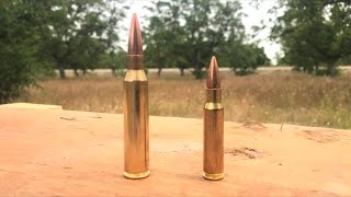 338 LAPUA VS 308 savage ba110 [upl. by Tal108]