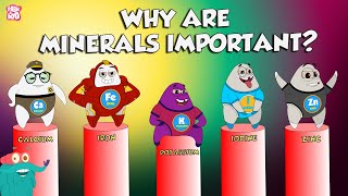 Why Are Minerals Important  Functions Of Minerals  The Dr Binocs Show  Peekaboo Kidz [upl. by Eldoria3]