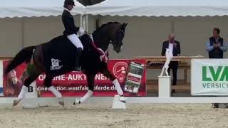 Ellis Escolar x Dimaggio wird WestfalenChampion 2020 [upl. by Adolf]