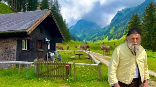 Life in a Swiss Alpine Village  We released thousands of cows in the mountains and green meadows [upl. by Osrock126]