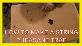 How To Make A String Pheasant Trap [upl. by Oriel169]