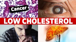 10 Surprising Diseases Caused by Low LDL Cholesterol [upl. by Ahsial]