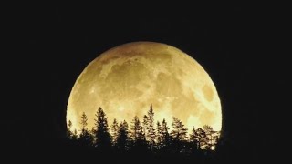 Last supermoon of 2023 to rise at the end of September [upl. by Ahtael]