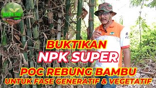 POC REBUNG BAMBU SETARA NPK 16 16 16 npk rebungbambu pupukorganikcair [upl. by Bernardina669]