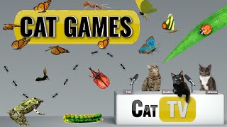 CAT Games  Ultimate Cat TV Bugs and Butterflies Compilation Vol 5 🪲 🐞🦋🦗🐜  Videos For Cats to Watch [upl. by Merwin]