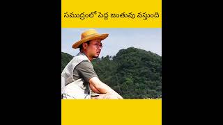 Samudram lo peydha janthuvu untundhi telugu facts amazingfacts [upl. by Ahsiekit]