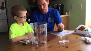 Setting Up Our Milkweed Bug Habitat Terrarium [upl. by Rossy]