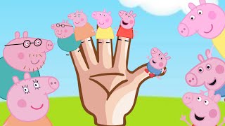 Daddy Finger Song With Peppa Pig Finger Family  Peppa Cody Nursery Rhymes amp Kids Songs [upl. by Yesllek]