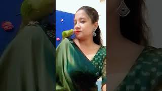 আমার শখের পাখি bdbird comedyfilms houseofbirdsbd [upl. by Bernelle]