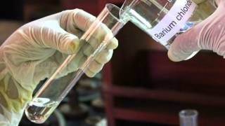 Reaction Between Sodium Sulphate and Barium Chloride Solution  MeitY OLabs [upl. by Hamburger]