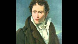 Partially Examined Life podcast  Schopenhauer  Principle of Sufficient Reason [upl. by Nawor]