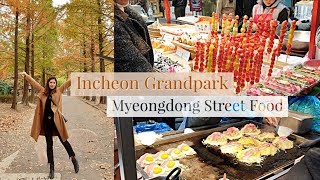 Korea Vlog  Autumn in Myeongdong Street Food  Style Nanda Pink Hotel [upl. by Arlette997]