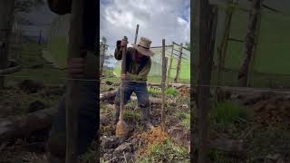 Digging Post holes For Building homestead barn build ecuador [upl. by Ecerahs]