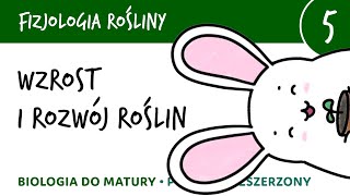 Wzrost i rozwój roślin  Fizjologia roślin 5  matura z biologii biologia rozszerzona [upl. by Brunhild]