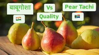 Pear 🍐 Tachi Vs Indian Pears Quality  Season Fruits [upl. by Anaeirb]