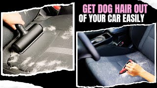 Unique Ways To Get Dog Hair Out Of Your CarIn Just 5 Minutes [upl. by Ahseile112]