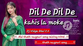 new nagpuri 🌿 Dil De Dil De kahis La moke 🌿 theth nagpuri song 🌿 dance mix chinta devi 🌿 nagpuri dj [upl. by Nymsaj284]