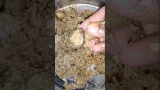 Mushroom Biryanifood mushroombiryani biryani mushroomdumbiryani mushroom foodie recipe [upl. by Yorgo]