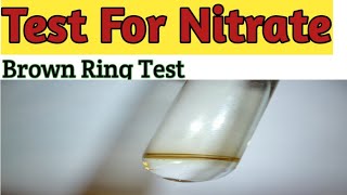 Test for Nitrate  Acidic Radical Analysis  Brown Ring Test  Vikram seervi  Chemistry Experiment [upl. by Nnaael192]