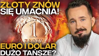 DLACZEGO ZŁOTY ZYSKUJE DOLAR i EURO najtańsze OD LAT BizON [upl. by Columba509]